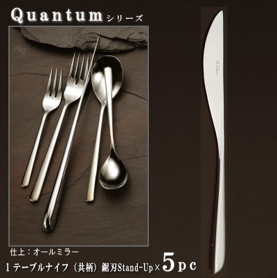 ナイフ 刃付き 5本セット 【Quantumシリーズ】 テーブルナイフ （共柄）247mm×5本 鋸刃仕様 Stand-Up仕様 【大きめサイズ/日本製/洋食器/ステンレス/カトラリー/カンタム/業務用/ホテル/フルコース料理用/食器/おしゃれ/モダン/シャープな形状/良く切れる