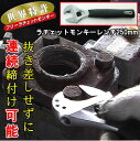 モンキーレンチ フリーラチェットモンキーレンチ 規格：250mm 全長258mm 【DIY 工具 手動工具 レンチ ラチェット仕様 zm モンキー モンキースパナ 連続 締め付け 簡単 スピーティー 蛇口 修繕 修理 道具 【あす楽対応】