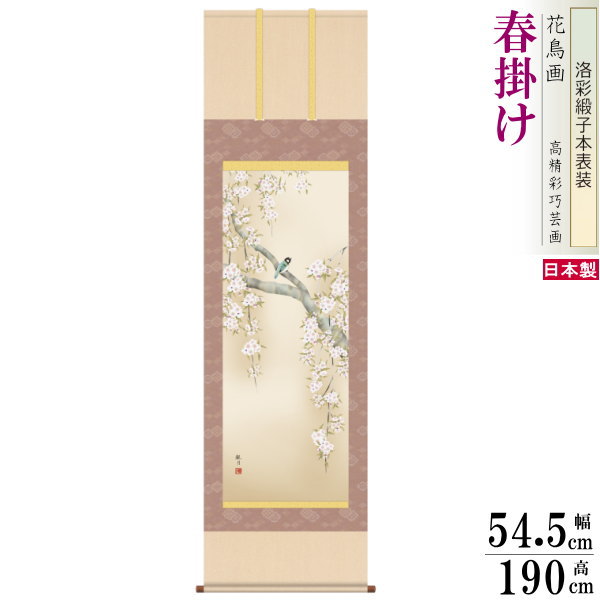 掛け軸 花鳥画 春掛け 森山観月 桜花に小鳥 洛彩緞子本表装 尺5 桐箱入り 1個 日本製 送料無料 名画複製 掛軸 春飾り 日本画 和風 上品 さくら 桜の花...