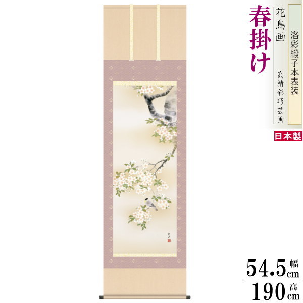 掛け軸 花鳥画 春掛け 近藤玄洋 桜花に小鳥 洛彩緞子本表装 尺5 桐箱入り 1個 日本製 送料無料 名画複製 掛軸 春飾り 日本画 和風 上品 さくら 桜の花...