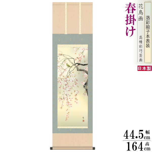 掛け軸 花鳥画 春掛け 森山観月 桜花 洛彩緞子本表装 尺3×1個 日本製 送料無料 名画複製 掛軸 春飾り 日本画 和風 上品 桜の絵 桜の花 春らしい さく...