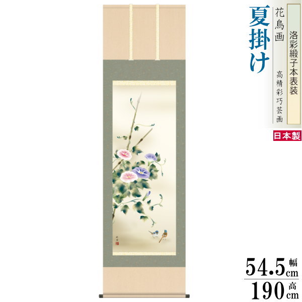 掛け軸 花鳥画 夏掛け 田村竹世 朝顔 洛彩緞子本表装 尺5 桐箱入り 1個 日本製 送料無料 名画複製 掛軸 夏飾り 夏の風情 夏の演出 アサガオ あさがお ...