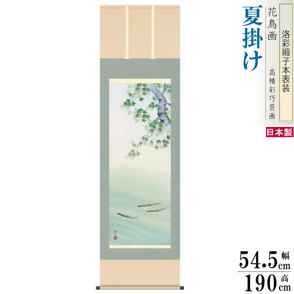 掛け軸 花鳥画 夏掛け 緒方葉水 楓に鮎 洛彩緞子本表装 尺5 桐箱入り 1個 日本製 送料無料 名画複製 掛軸 夏飾り 夏の風情 魚 清涼感 涼しい 夏の演出...