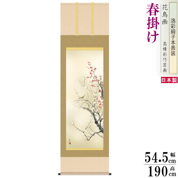 掛け軸 花鳥画 春掛け 田村竹世 紅白梅に鶯 洛彩緞子本表装 尺5 桐箱入り 1個 日本製 送料無料 名画複製 掛軸 春飾り 日本画 和風 上品 梅の花 お花 ...