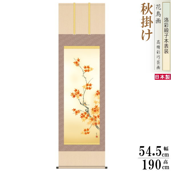 掛け軸 花鳥画 秋掛け 田村竹世 紅葉に小鳥 洛彩緞子本表装 尺5 桐箱入り 1個 日本製 送料無料 名画複製 掛軸 秋飾り 秋の演出 日本の秋 秋の風景 もみ...