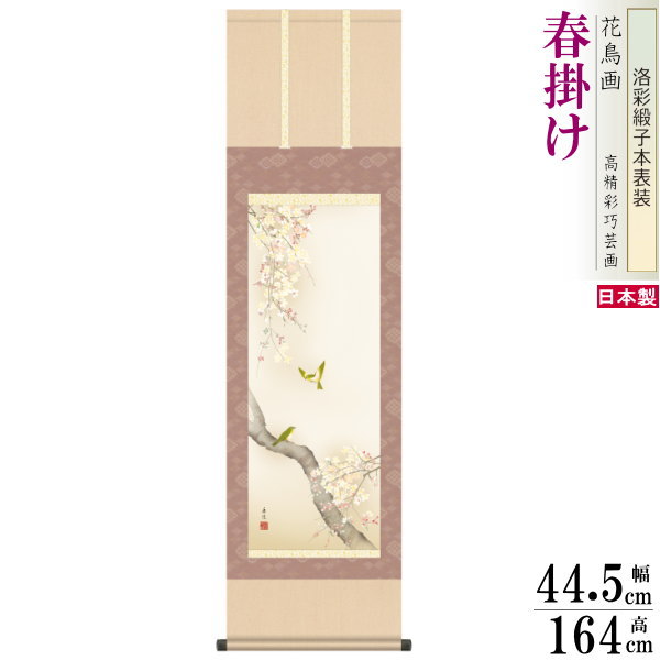 掛け軸 花鳥画 春掛け 西尾香悦 桜花に小鳥 洛彩緞子本表装 尺3×1個 日本製 送料無料 名画複製 掛軸 春飾り 日本画 和風 上品 桜の絵 桜の花 春らしい...