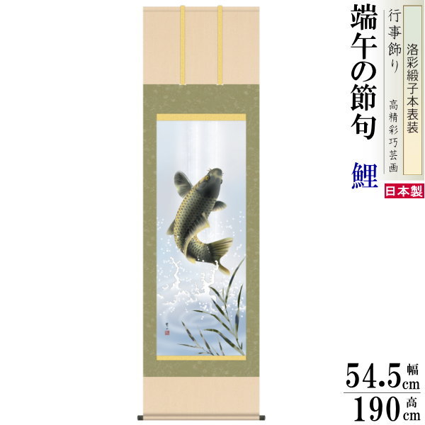 掛け軸 鯉 唐沢碧山 端午の節句画 跳鯉 洛彩緞子本表装 尺5 桐箱入 1個 日本製 送料無料 名画複製 子供の日 タペストリー 鯉の滝昇り こい コイ 掛軸 ...