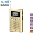 ポケットラジオ イヤホン セット FM AMデジタルラジオ 本体重量：約80g ワイドFM対応 高感度 デジタルチューナー コンパクト ラジオ 携帯ラジオ FM/AM 小型 多機能 おすすめ 一発選局 アラーム スリープタイマー 防災用品 防災グッズ 防災ラジオ【あす楽対応】