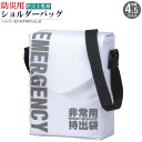 防災バッグ 規格:4.5L 小さいサイズ 防災ミニショルダーバッグ 防災袋 防災用品 防災グッズ 非常時持ち出し袋 コンパクト ミニ 非常用持出袋 持ち出しバッグ 袋だけ おしゃれ ショルダーバッグ 緊急時 子供用 持ち出し 災害時 常備品 避難道具 収納即発対応(3)