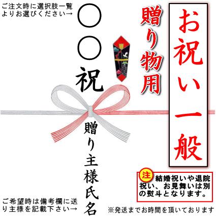 ◆◆◆【一般のお祝いの贈り物用のし】蝶結び熨斗 1枚■ご注意ください■※結婚祝いはこの熨斗ではありません..