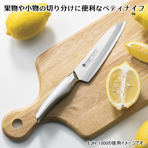 Sanjo High-Carbon Steel 245mm Santoku (All-Purpose Knife) | Japanese Kitchen Knife – view 2