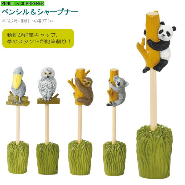 鉛筆 キャップ 鉛筆削り セット アニマル ペンシル&シャープナー 1個 選択 パンダ コアラ ナマケモノ シロフクロウ ハシビロコウ 動物 鳥 おもしろい 鉛...