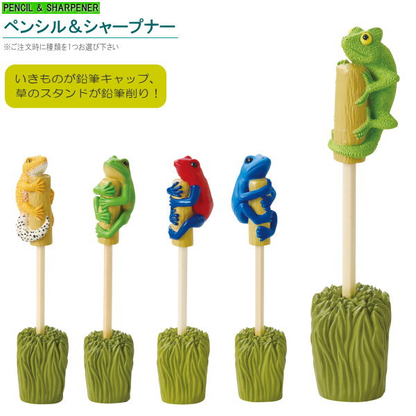 鉛筆 キャップ 鉛筆削り セット 生き物 ペンシル&シャープナー 1個 ※5種類より1つお選び下さい 動物 爬虫類 両生類 トカゲ カエル カメレオン リアル ...