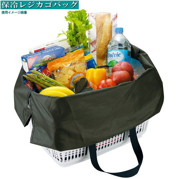 エコバッグ 保冷 お買い物バッグ 1個 選択 ボーダー柄 チェック柄 保冷レジカゴバ...