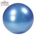 【バランスボール 65cm】 ヨガボール65cm 【フィットネス/シェイプアップ/器具/エクササイズ/IMC-32/通販/バランスボール/ヨガ/鉄人倶楽部/フィ...