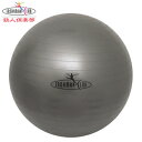 【バランスボール 65cm】 ノーバースト ヨガボール 65cm 【フィットネス/シェイプアップ/器具/エクササイズ/IMC-81/通販/バランスボール/ヨガ/...