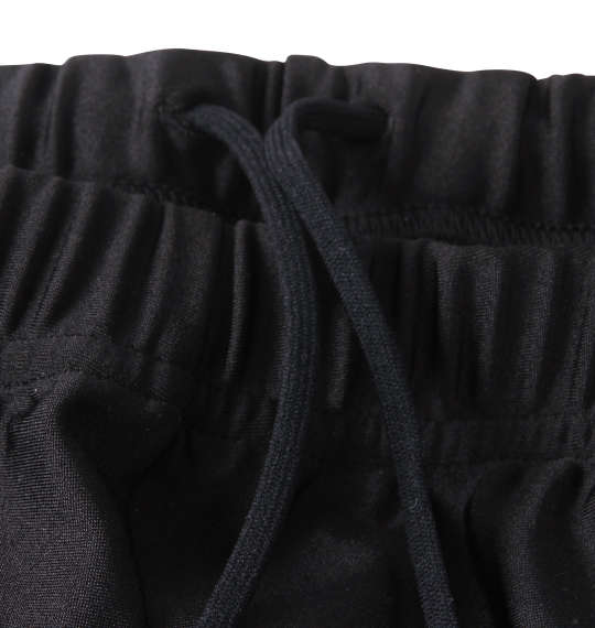 大きいサイズ★メンズ arenaスイムパンツ