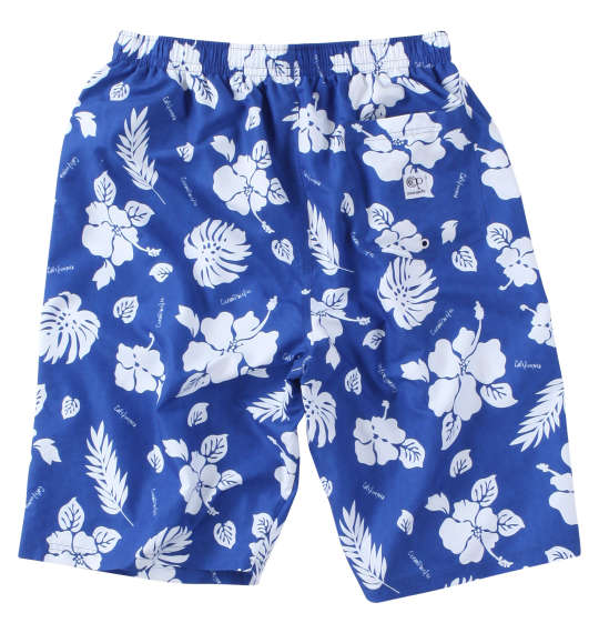 大きいサイズ★メンズ OCEAN PACIFICマイクロツイルハイビスカス柄サーフパンツ