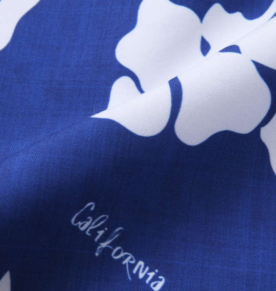 大きいサイズ★メンズ OCEAN PACIFICマイクロツイルハイビスカス柄サーフパンツ