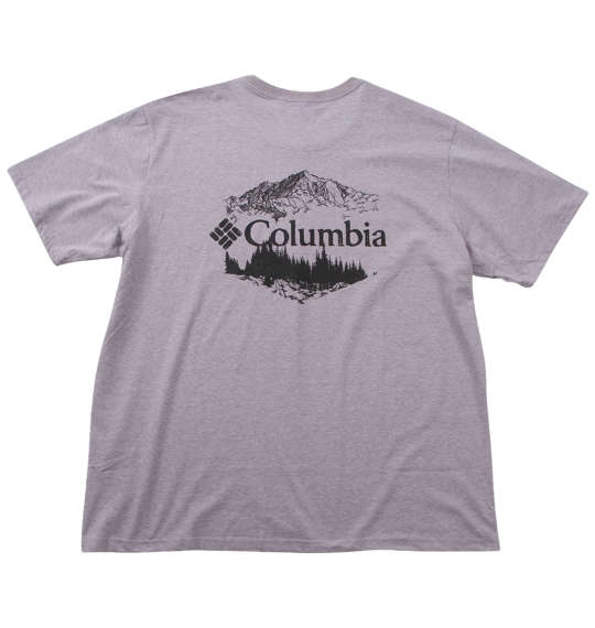 大きいサイズ★メンズ Columbiaロッカウェイリバーバックグラフィック半袖Tシャツ