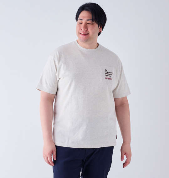 大きいサイズ★メンズ ColemanUSAコットンポケット付バックランタンプリント半袖Tシャツ