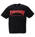 傫TCYY THRASHERTVc