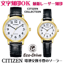ペアウォッチ 腕時計 文字入れ 名入れ 文字刻印 ペアウォッチ販売 電池交換不要 ソーラーウォッチ CITIZEN シチズン エコ・ドライブ 記念品 刻印サービス 還暦祝い 古希 金婚式 銀婚式 結婚記念日 退職記念 米寿 傘寿 夫婦 カップル お揃い 勤続記念品 おすすめ 贈答ウォッチ