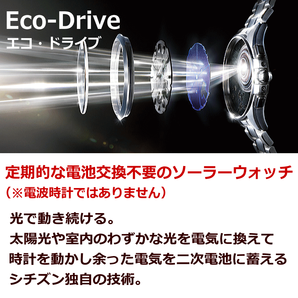 ウォッチ メンズウォッチ 腕時計 名入れ 文字入れ 文字刻印 電池交換不要 ソーラーウォッチ CITIZEN シチズン エコ・ドライブ 文字がみやすい 記念品 退職記念 退職祝い 還暦祝い 米寿 金婚式 結婚記念日 勤続記念品 周年記念 お祝い おすすめ イニシャル刻印 刻印実績1位