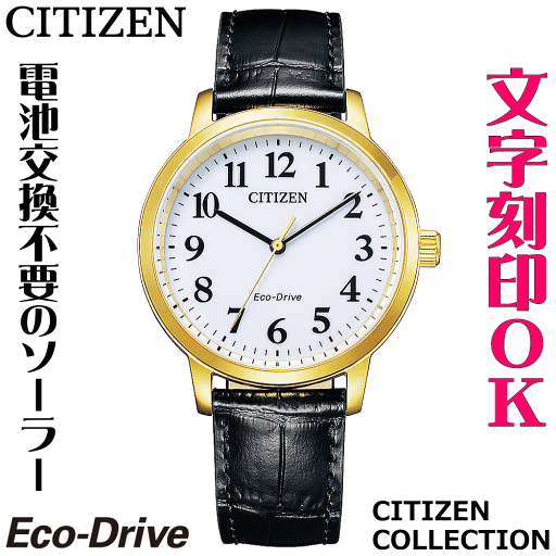 ウォッチ メンズウォッチ 腕時計 名入れ 文字入れ 文字刻印 電池交換不要 ソーラーウォッチ CITIZEN シチズン エコ・ドライブ 文字がみやすい 記念品 退職記念 退職祝い 還暦祝い 米寿 金婚式 結婚記念日 勤続記念品 周年記念 お祝い おすすめ イニシャル刻印 刻印実績1位