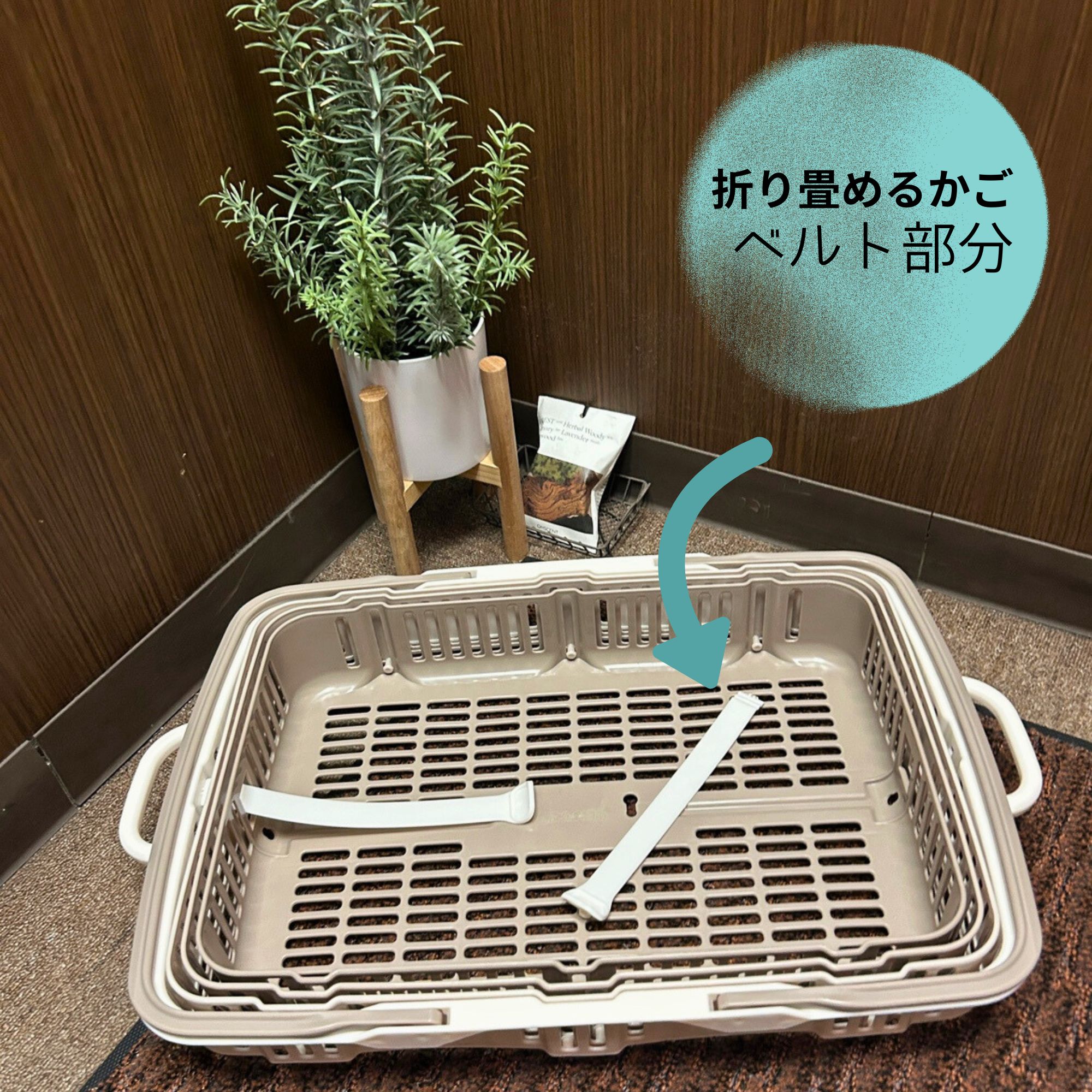 【メール便】ニューバスケット パーツ ベルト 103065 カシミアベージュ/チョコブラウン/グレーホワイト..