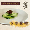 【 肉も野菜もこれ1つ! 万能梅味噌ダレ 】 梅味噌 無添加 梅ダレ 梅たれ パック 250g 万能調味料 ギフト 野菜 揚げ物 バーベキュー BBQ 梅 ウメ うめ 和風ソース みそ 味噌 和風調味料 香り みそ漬け 味噌漬け 長野 信州 冷蔵 信州味噌 取り寄せ おいしい 美味しい