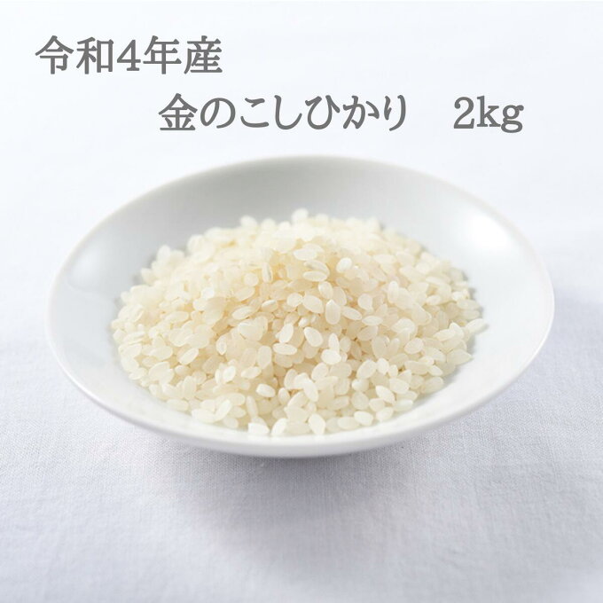 新米　お米　米　白米　コシヒカリ　令和4年産　佐賀県産　金のこしひかり　2kg...