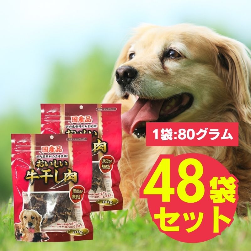 ���������������� 80g��48�ޥ��å� �� ���� �񻺵��� ̵ź�� ̵�忧 �����Ǻ� ���ȥ쥹��� ���᤭ ������ ������ ¿Ƭ����