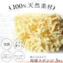 ■3個セット■ 天然海綿(大粒)7~10cm 海綿 スポンジ 業務用 ボディスポンジ ベビースポンジ 赤ちゃん 子供 海綿スポンジ 肌に優しい 低刺激 スキンケア 沐浴スポンジ