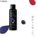 ルベル エドル カラーシャンプー PS パープルシルキー 150ml カラーシャンプー 紫 人気 カラシャン ヘアカラー 色落ち防止 金木犀 シャンプー 色落ち 防ぐ 美容室専売 美容院 サロン専売品