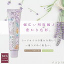ナプラ ナシード ファッションカラーN-BCh【ベリーショコラ】80g 美容室専売 美容院 サロン専売品 医薬部外品 毛染め カラー ヘアカラー(4)