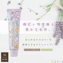 ナプラ ナシード ファッションカラーN N【ナチュラル】 80g 美容室専売 美容院 サロン専売品 医薬部外品 毛染め カラー ヘアカラー
