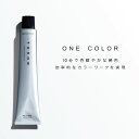 ビーエックス スロウカラー 【ワンカラー 全16色】100g 美容室専売 美容院 サロン専売品 医薬部外品 毛染め カラー 白髪染め アッシュ ヘアカラー ビーエックス モルトベーネ