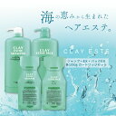 ビーエックス クレイエステ シャンプーEX 1000ml + パックEX 1000g パウチ(つめかえ)【専用カートリッジ付き 全4セット】泥シャンプー 詰め替え 美容室専売 美容院 サロン専売品 モルトベーネ