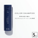 ■5本セット■ ビーエックス スロウ カラーシャンプー アッシュ 80ml カラーシャンプー 人気 カラシャン ヘアカラー 色落ち防止 シャンプー 色落ち 防ぐ...