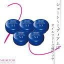 ■5個セット■資生堂 ステージワークス トゥルーエフェクター シャイン 90g 資生堂 プロフェッショナル ヘアワックス サロン専売品 サロン用スタイリング剤 業務用 美容室専売 美容院 サロン専売品