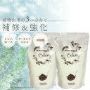 サニープレイス ナノサプリ クリニックトリートメント ウーロン 800ml ■2個セット■ 美容室専売 美容院 サロン専売品(4)