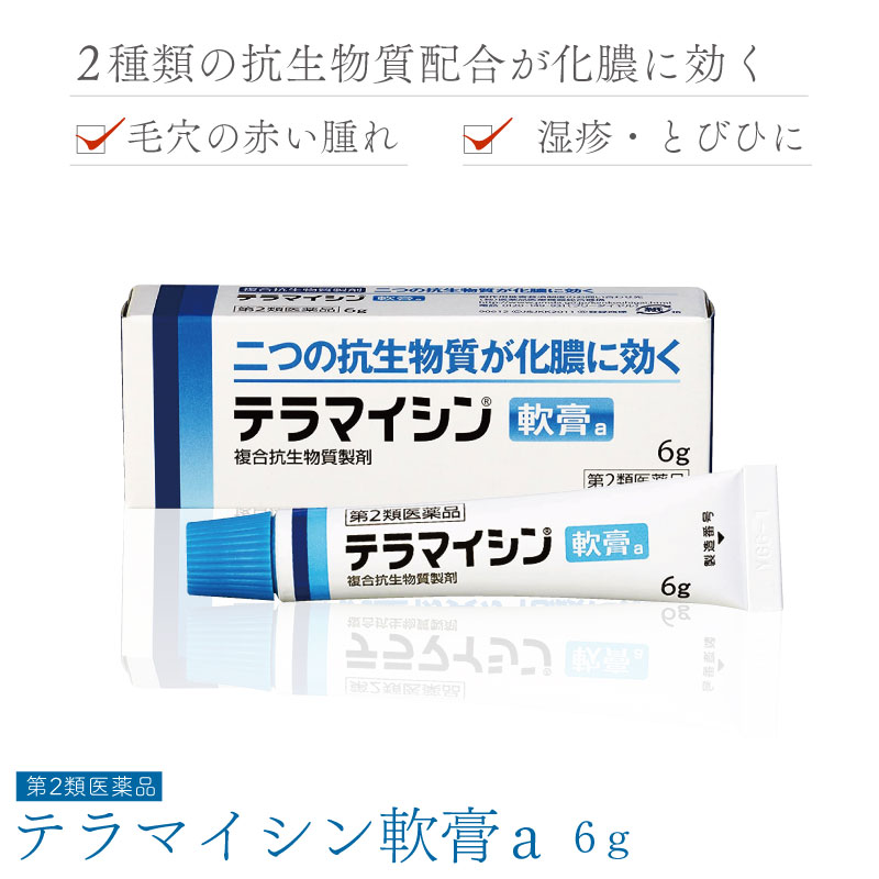 【第2類医薬品】テラマイシン軟膏a 6g 化膿止め 抗生物質 軟膏 やけど 火傷 塗り薬 化膿 薬 とびひ めんちょう 毛のう炎のサムネイル
