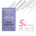 ムコタ ピカラスピードプラス ロイヤルブルージュ 40ml ヘアカラー グレイカラー 白髪染め 業務用カラー剤 業務用 美容室専売 美容院 サロン専売品(4)