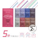 ピカラスピードプラス 40g【えらべる2個セット】ヘアカラー グレイカラー 白髪染め 業務用カラー剤 業務用 美容室専売 美容院 サロン専売品 スピードカラー ...