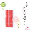 ■2個セット■ ウエラ インヴィゴ カラーブリリアンス カラーリペアリッチ 150ml アウトバストリートメント カラー 長持ち トリートメント ヘアカラー 色落ち防止 色落ち 防ぐ 洗い流さないトリートメント ウェラ 美容室専売 美容院 サロン専売品