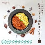 【高評価★4.5 /2件】国産大豆ミート キーマカレー 中辛 ベジ 本格スパイス 160g×1袋 グルテンフリー カレー ベジハウス アレルギー ヴィーガン ベジタリアン ヘルシー 健康 美容 塩分控えめ 自宅用 家庭用 グルメ お取り寄せグルメ 賞味期限2025年1月27日