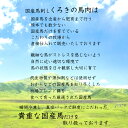 馬刺し 馬肉 国産 熊本 肉 ギフト 詰め合わせ 送料 ユッケ 食べ物 馬刺 食べ比べ プレゼント 送料無料 御礼 お祝い 贈り物 内祝い お返し 誕生日 上赤身 霜降り ばさし おつまみ セット 産地直送 食べ比べ 馬 産直 お年賀 お酒に合う 牧場 詰め合わせ 御中元 あす楽 2