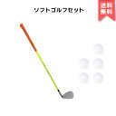【正規品 / 送料無料】chaegolf エデュケーション ゴルフ アイアン クラブ クラブ1本+ボール5個 S サイズ 長さ 73センチ 子供用 練習用 国内...