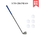 【正規品 / 送料無料】chaegolf エデュケーション ゴルフ アイアン クラブ クラブ1本+ボール5個 L サイズ 長さ 87センチ 子供用 練習用 右利...